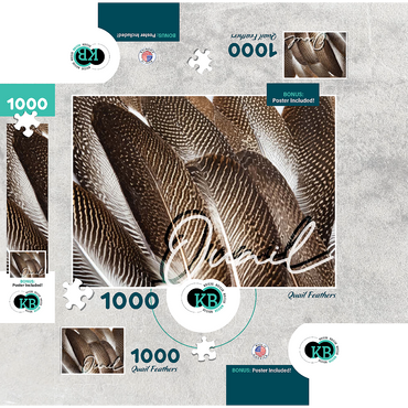 Animal Photography: Quail Feathers, Birds no.1 1000 Jigsaw Puzzle box 3D Modell
