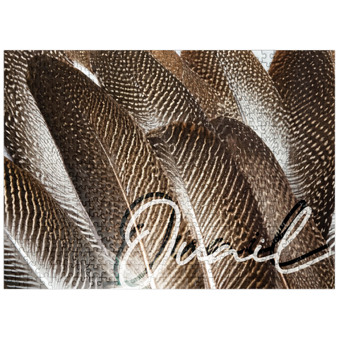 puzzleplate Animal Photography: Quail Feathers, Birds no.1 500 Jigsaw Puzzle