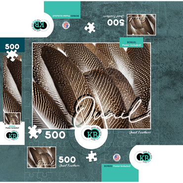 Animal Photography: Quail Feathers, Birds no.1 500 Jigsaw Puzzle box 3D Modell