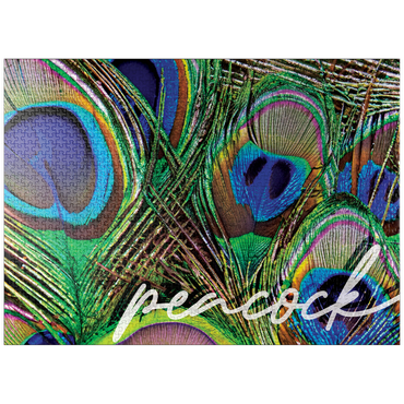 puzzleplate Animal Photography: Peacock Feathers Plumage, Birds no.2 1000 Jigsaw Puzzle