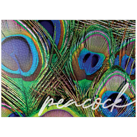 puzzleplate Animal Photography: Peacock Feathers Plumage, Birds no.2 1000 Jigsaw Puzzle