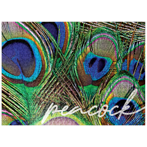 puzzleplate Animal Photography: Peacock Feathers Plumage, Birds no.2 500 Jigsaw Puzzle
