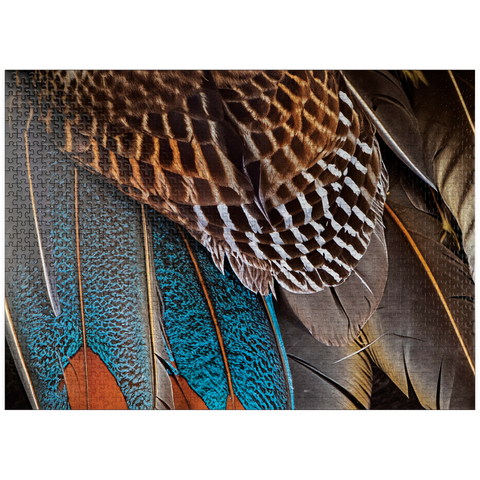 puzzleplate Animal Photography: Fan of Feathers, Birds no.4 1000 Jigsaw Puzzle