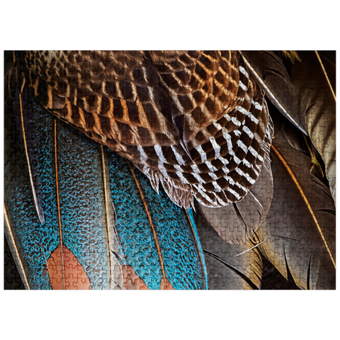 puzzleplate Animal Photography: Fan of Feathers, Birds no.4 500 Jigsaw Puzzle