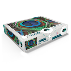 1000