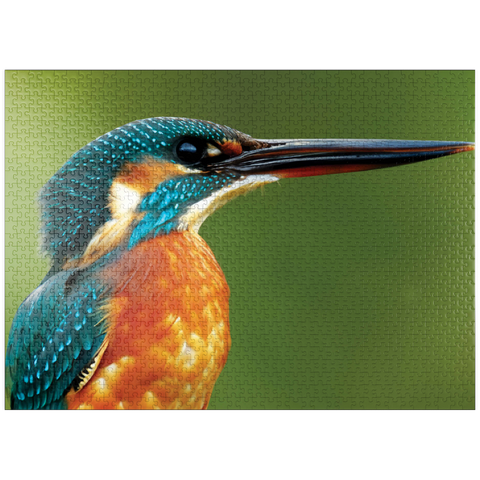 puzzleplate Animal Photography: Birds, Majestic Kingfisher 1000 Jigsaw Puzzle
