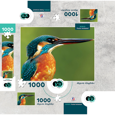 Animal Photography: Birds, Majestic Kingfisher 1000 Jigsaw Puzzle box 3D Modell