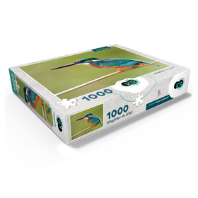 1000