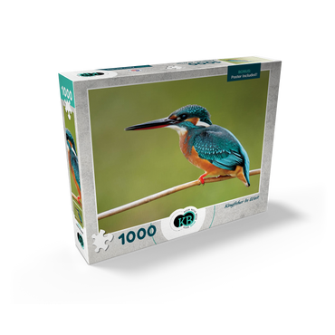 Animal Photography: Birds, Kingfisher In Waiting 1000 Jigsaw Puzzle box view2