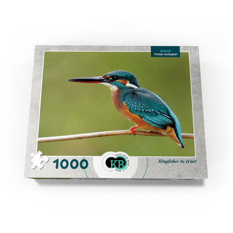 Animal Photography: Birds, Kingfisher In Waiting 1000 Jigsaw Puzzle box view3