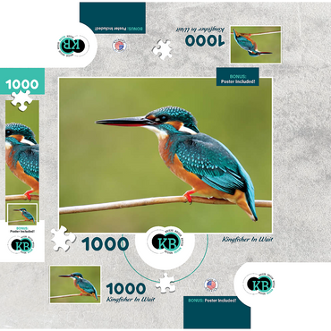 Animal Photography: Birds, Kingfisher In Waiting 1000 Jigsaw Puzzle box 3D Modell