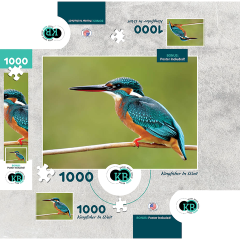 Animal Photography: Birds, Kingfisher In Waiting 1000 Jigsaw Puzzle box 3D Modell