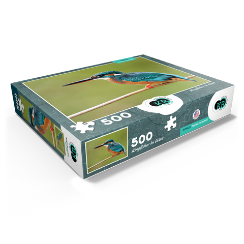Animal Photography: Birds, Kingfisher In Waiting 500 Jigsaw Puzzle box view1