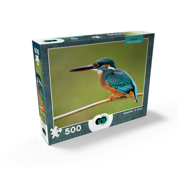 Animal Photography: Birds, Kingfisher In Waiting 500 Jigsaw Puzzle box view2