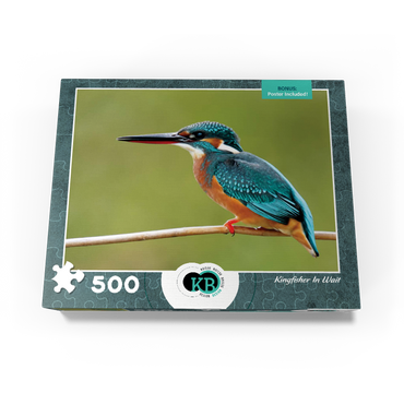 Animal Photography: Birds, Kingfisher In Waiting 500 Jigsaw Puzzle box view3
