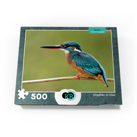 Animal Photography: Birds, Kingfisher In Waiting 500 Jigsaw Puzzle box view3