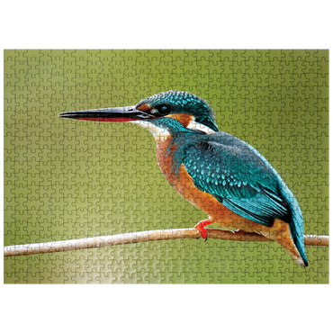 puzzleplate Animal Photography: Birds, Kingfisher In Waiting 500 Jigsaw Puzzle