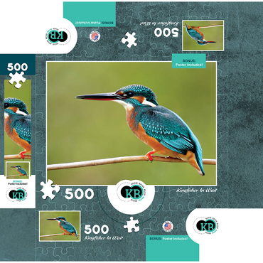 Animal Photography: Birds, Kingfisher In Waiting 500 Jigsaw Puzzle box 3D Modell