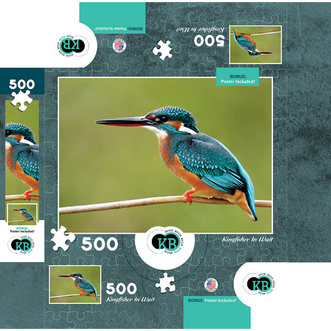 Animal Photography: Birds, Kingfisher In Waiting 500 Jigsaw Puzzle box 3D Modell