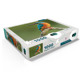 1000