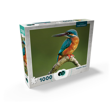 Animal Photography: Birds, Kingfisher Hunting 1000 Jigsaw Puzzle box view2