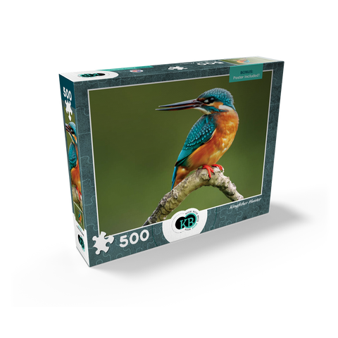 Animal Photography: Birds, Kingfisher Hunting 500 Jigsaw Puzzle box view2