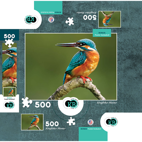 Animal Photography: Birds, Kingfisher Hunting 500 Jigsaw Puzzle box 3D Modell