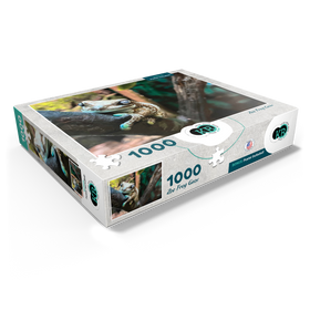 1000