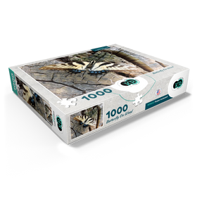 1000