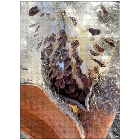 puzzleplate Macro Photography: Milkweed Pod, no.1 1000 Jigsaw Puzzle