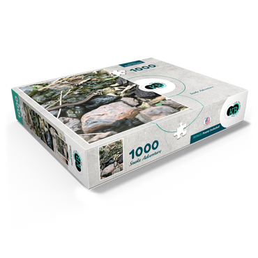 Animal Photography: Snake Adventure 1000 Jigsaw Puzzle box view1