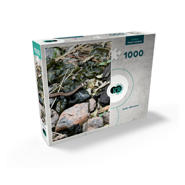 Animal Photography: Snake Adventure 1000 Jigsaw Puzzle box view2
