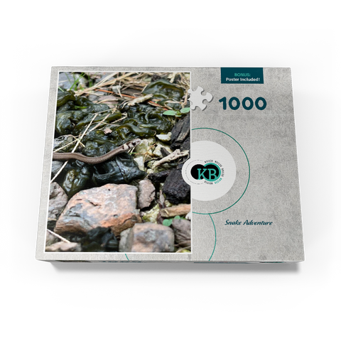Animal Photography: Snake Adventure 1000 Jigsaw Puzzle box view3