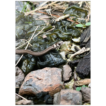 puzzleplate Animal Photography: Snake Adventure 1000 Jigsaw Puzzle