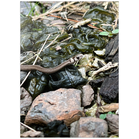puzzleplate Animal Photography: Snake Adventure 1000 Jigsaw Puzzle