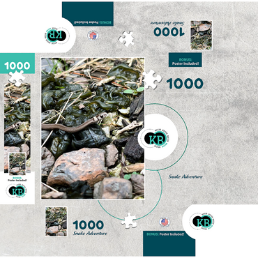 Animal Photography: Snake Adventure 1000 Jigsaw Puzzle box 3D Modell