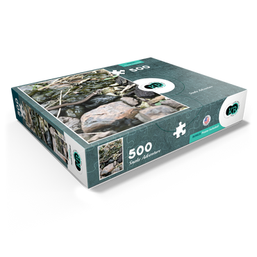Animal Photography: Snake Adventure 500 Jigsaw Puzzle box view1