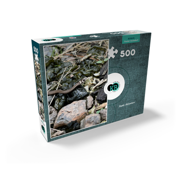 Animal Photography: Snake Adventure 500 Jigsaw Puzzle box view2