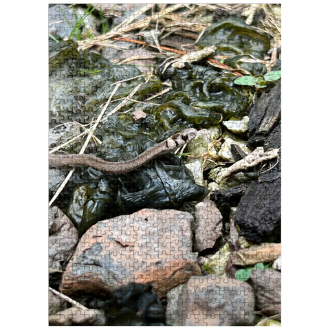 puzzleplate Animal Photography: Snake Adventure 500 Jigsaw Puzzle