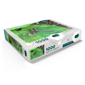 1000
