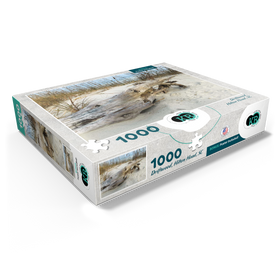 1000