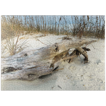 puzzleplate Nature Photography: Beach Driftwood, Hilton Head, South Carolina 1000 Jigsaw Puzzle
