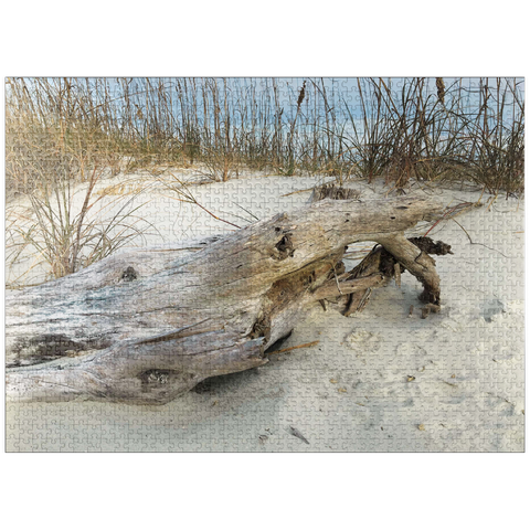 puzzleplate Nature Photography: Beach Driftwood, Hilton Head, South Carolina 1000 Jigsaw Puzzle