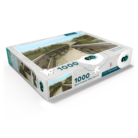 1000