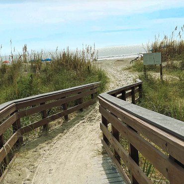 Nature Photography: Beach Footpath, Hilton Head, South Carolina 1000 Jigsaw Puzzle 3D Modell
