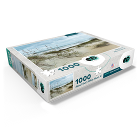 1000