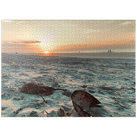 puzzleplate Nature Photography: Sunset Horseshoe Crabs- Hilton Head, South Carolina 1000 Jigsaw Puzzle
