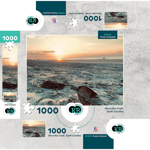 Nature Photography: Sunset Horseshoe Crabs- Hilton Head, South Carolina 1000 Jigsaw Puzzle box 3D Modell