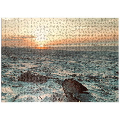 puzzleplate Nature Photography: Sunset Horseshoe Crabs- Hilton Head, South Carolina 500 Jigsaw Puzzle