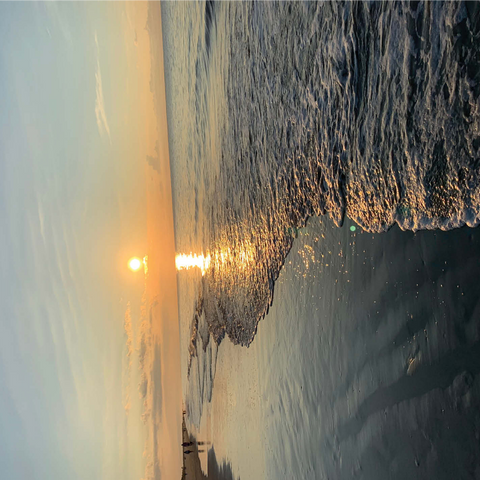 Nature Photography: Sunset Shoreline- Hilton Head, South Carolina 1000 Jigsaw Puzzle 3D Modell